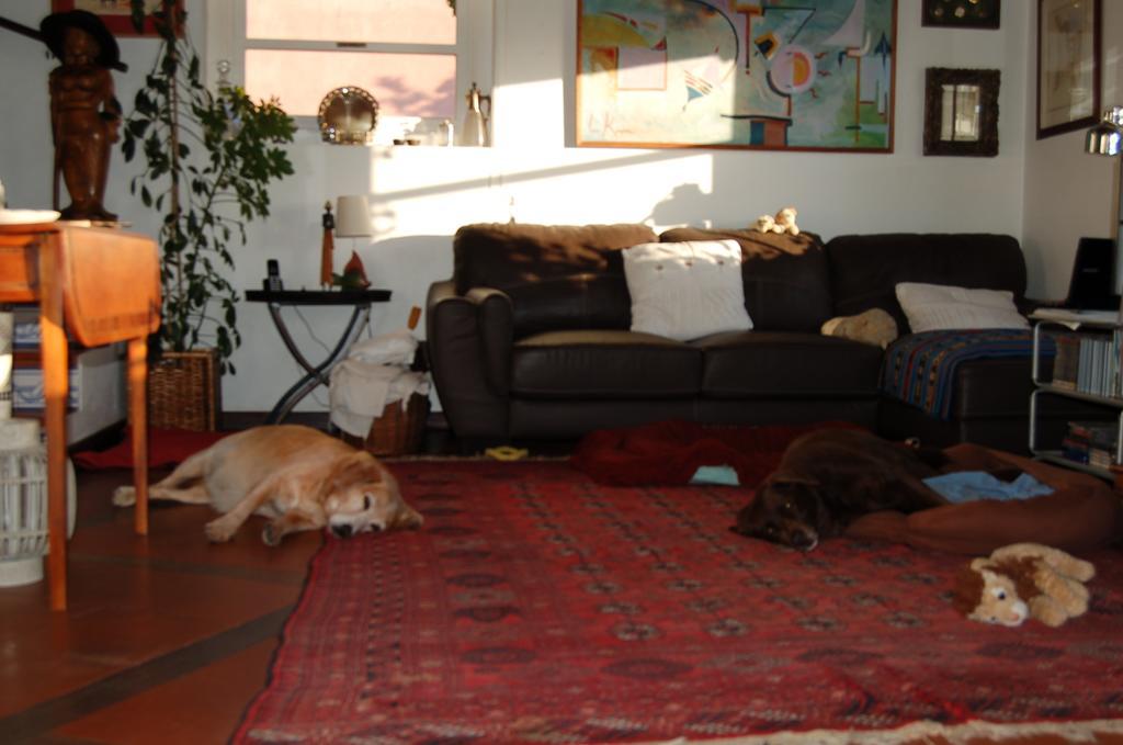 Isa'S Home Sintra Dış mekan fotoğraf