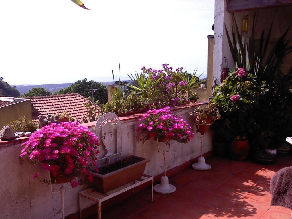 Isa'S Home Sintra Dış mekan fotoğraf